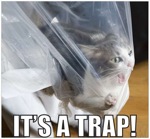 plastic_bag_trap_cat.jpeg